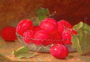 Still Life, 1895 by Eloise Harriet Stannard
