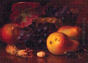 Pears, Cobnuts, Grapes in a wicker Basket, and a Wasp by Eloise Harriet Stannard