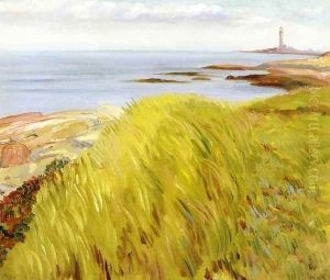 Grassy Dunes, Gloucester