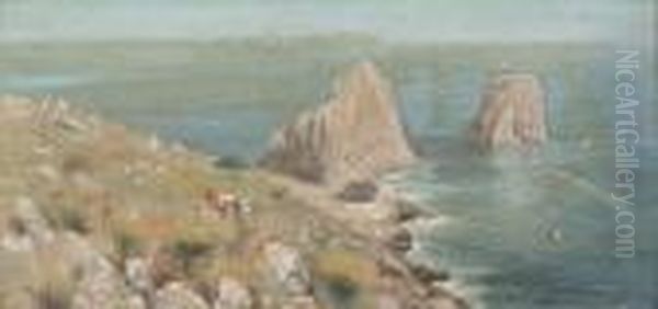 Kustenlandschaft - view 1