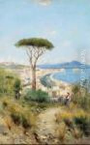 Primavera Nel Golfo Di Napoli