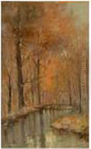 Autunno Sul Canale - view 1