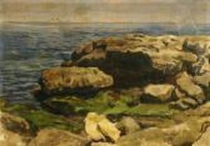 Scogliera Scogliera