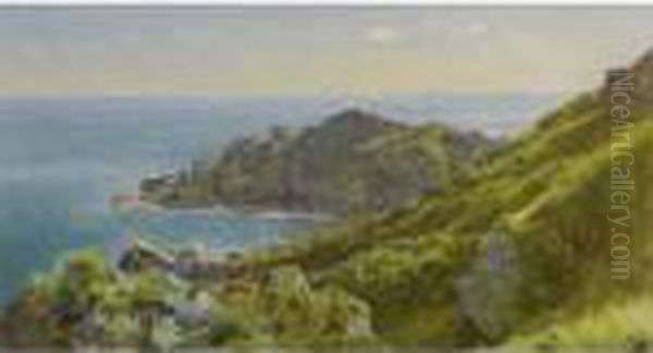 Coastline With Grassy Slope - view 1