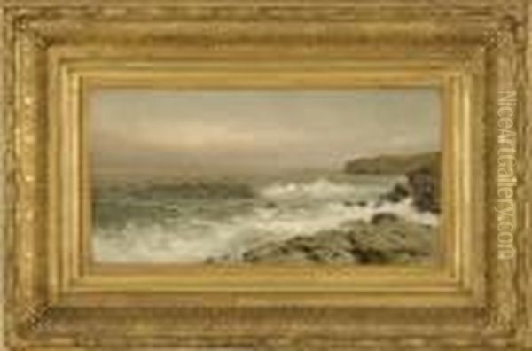 Near The West Cove, Conanicut Island - view 1