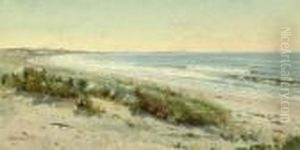 The Beach, Morning The Beach, Morning