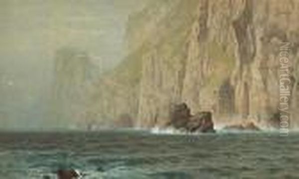 Coastal Cliffs - view 1