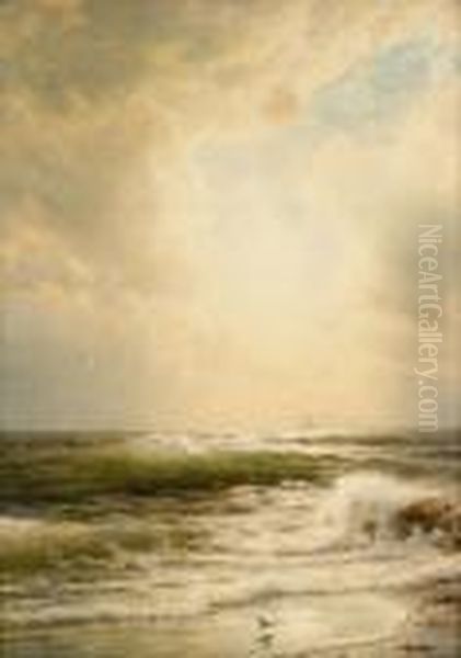 Waves Breaking On The Shore, A Ship In The Distance - view 1