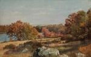 ''thyme Field &amp; Cedar Swamp'' Matunuck