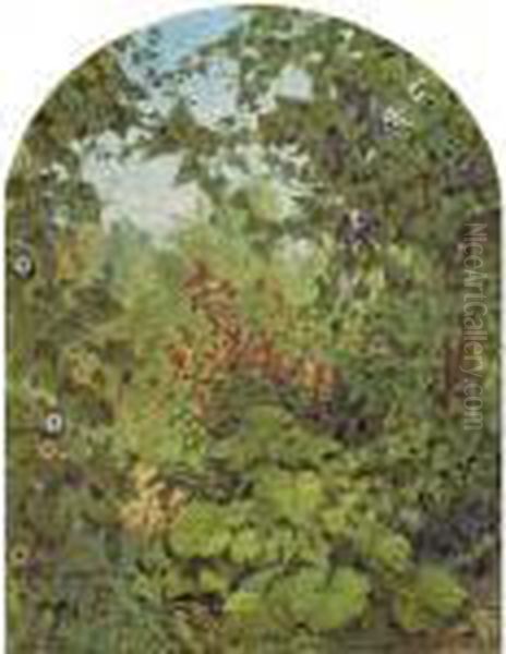 Flora - view 1