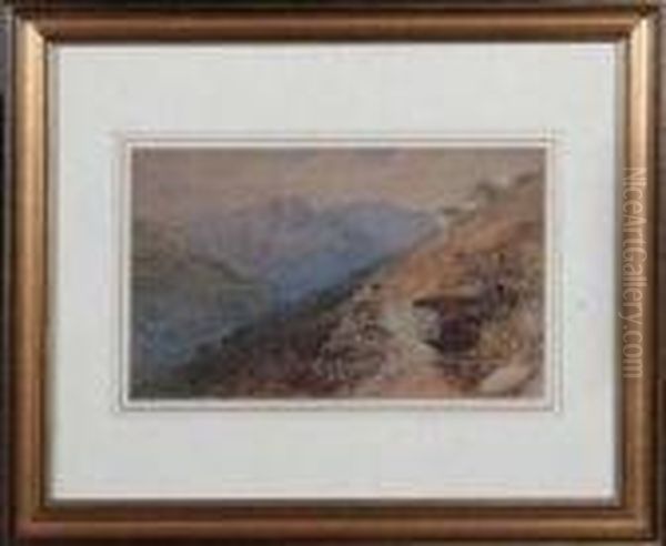 A Hillside In The Highlands - view 1
