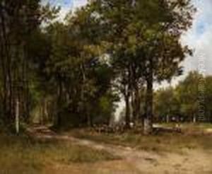View Of A Forest With Adonkey-cart