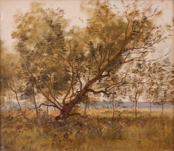 Paysage - view 1