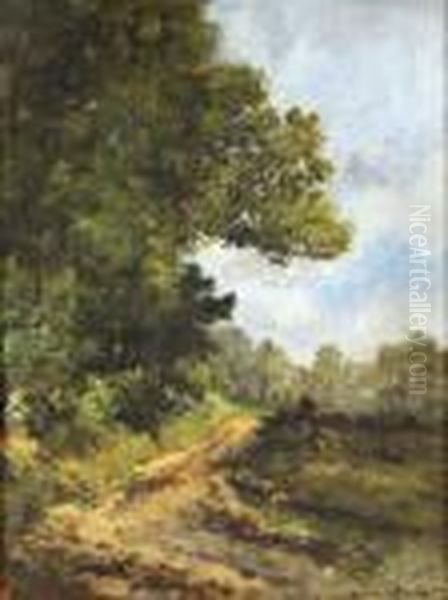 Chemin En Bordure De Foret - view 1
