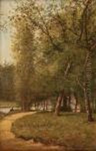 Sommertag Am Fluss Mit Angler