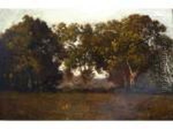 Paysage - view 1
