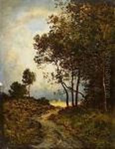 Chemin De Campagne