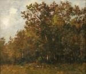 Riviere Dans Les Bois Riviere Dans Les Bois