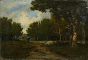 Chemin Dans Une Foret