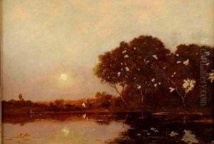 Paysage Au Crepuscule