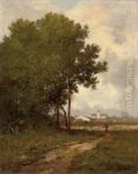 Walking On A Path At The Edge Of A Wood - view 1