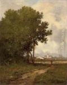Walking On A Path At The Edge Of A Wood