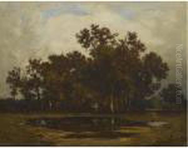 La Foret De Fontainebleau - view 1