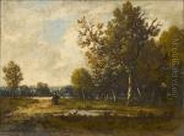 Paysage - view 1