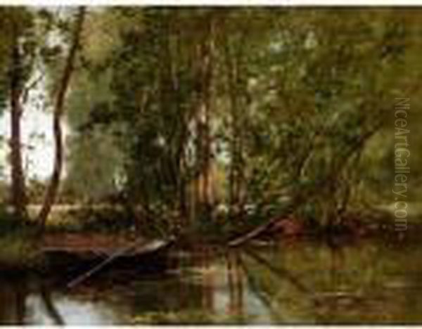 Sous-bois Avec Etang - view 1
