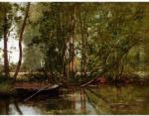 Sous-bois Avec Etang