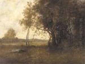 The Edge Of The Wood