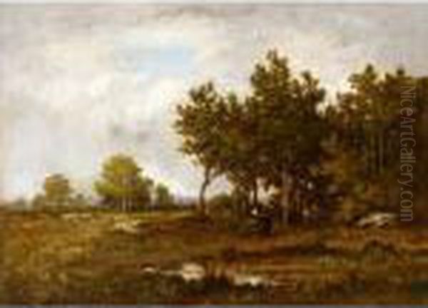 Paysage - view 1