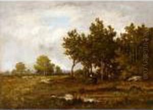 Paysage Paysage