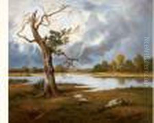 Paysage Paysage