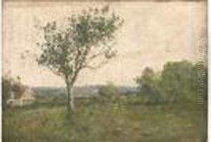 Paysage Paysage