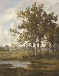 A Pool In A Wooded Landscape A Pool In A Wooded Landscape