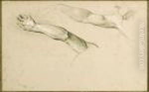 Study Of Arms