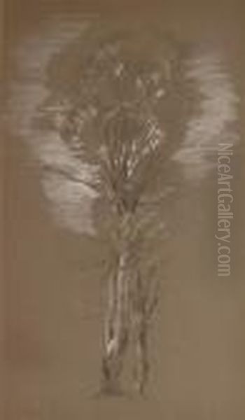 A Study Of Trees - view 1