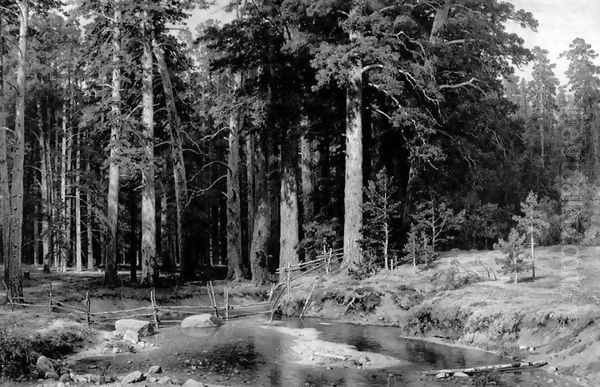 Mast Tree Grove by Ivan Shishkin