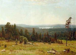 A Lakeside Forest