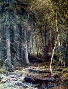 The Forest Horizons