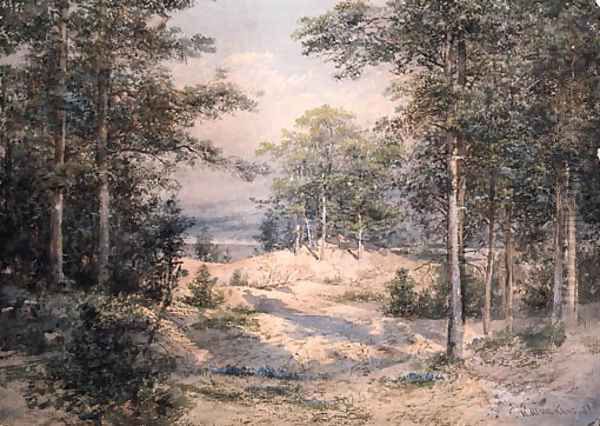Forest Glade in Sunlight - view 1