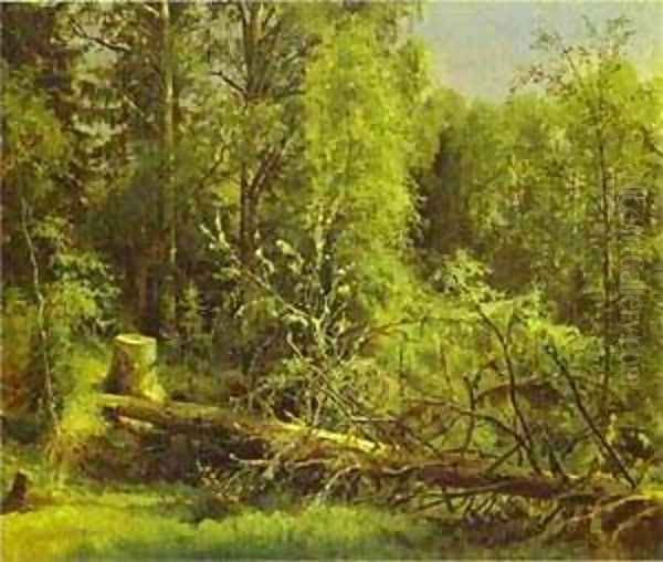 Fallen Tree 1875 - view 1