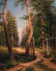 A path in a wood
