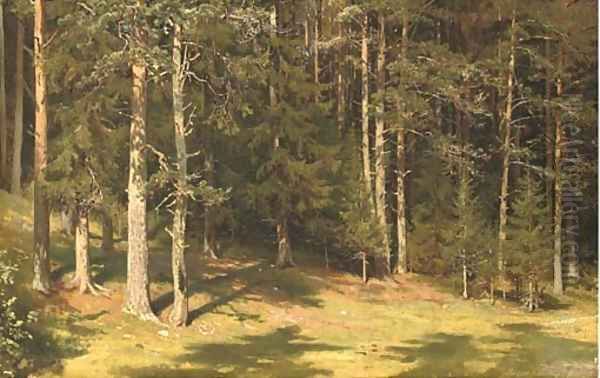 Forest glade - view 1