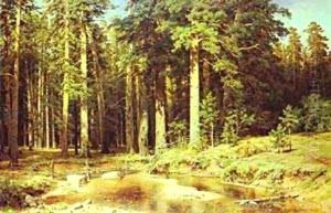 Mast Tree Grove 1898