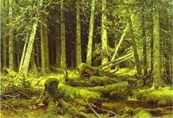 Wind Fallen Trees 1888 - view 1