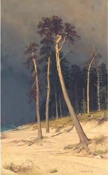 Sandy shore - view 1