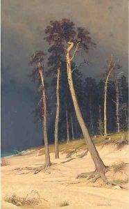 Sandy shore