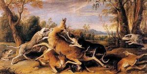 Hunting deer